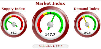 CMI gauges metro phoenix home sales