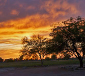 Sunset image for 2 acre horse property in San Tan Valley